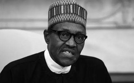 Ex- President Buhari Not Involved In PFIPC/PEAC Conundrum -------- BMO
