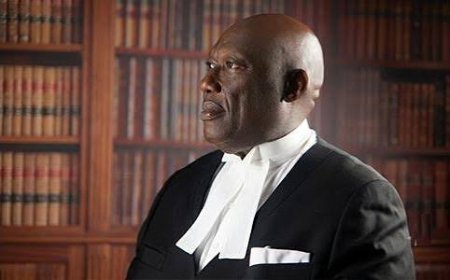 LPDC suspends another Senior Advocate of Nigeria, Joe Gadzama