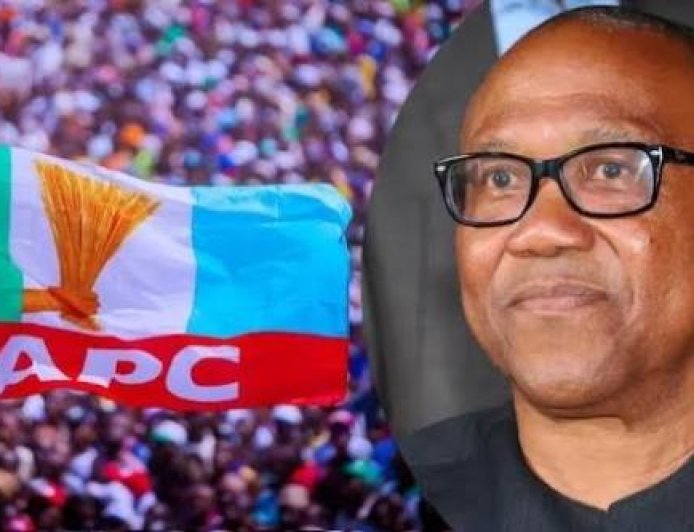 APC's Obsession with Peter Obi due to lack of what to showcase to Nigerians 