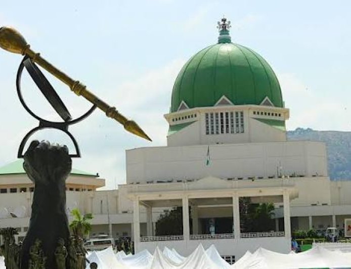 National Assembly Constituency Projects And The Rest Of Us: Enough Of This Scam 