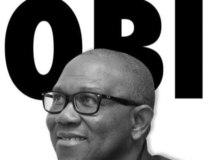 Peter Obi, CON at 65: Extolling A Visionary's Enduring Influence.