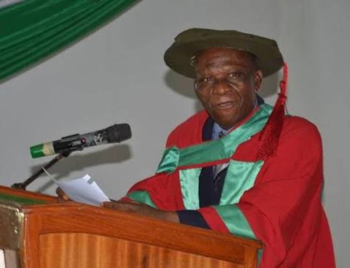 Renowned Journalist and Anthropologist, Prof Peter Jazzy Ezeh Conferred With Professor Emeritus, UNN