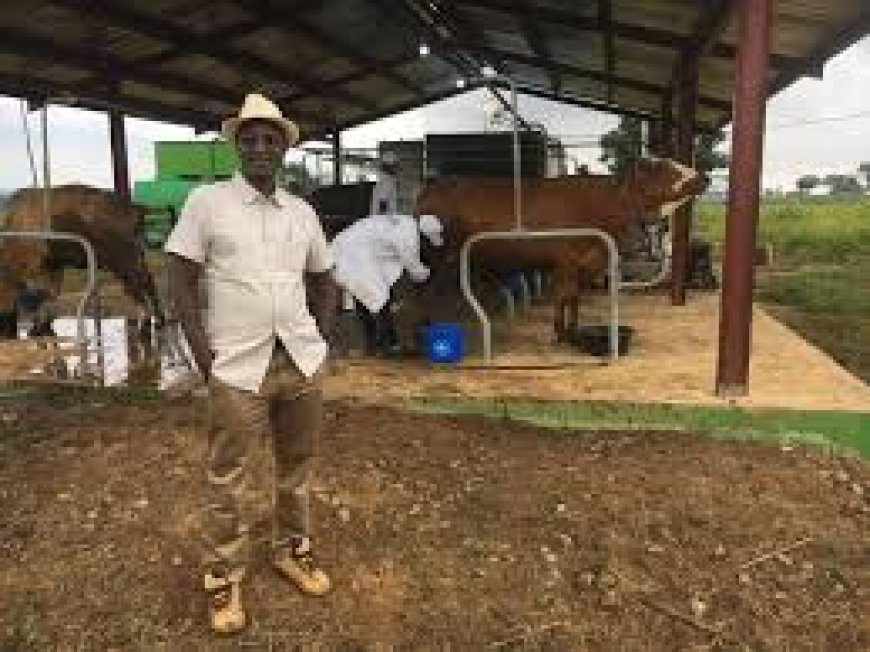 Livestock Farmer Hails FG for Prioritising Tsetse Fly Control In A'Ibom