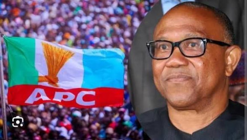 APC's Obsession with Peter Obi due to lack of what to showcase to Nigerians 