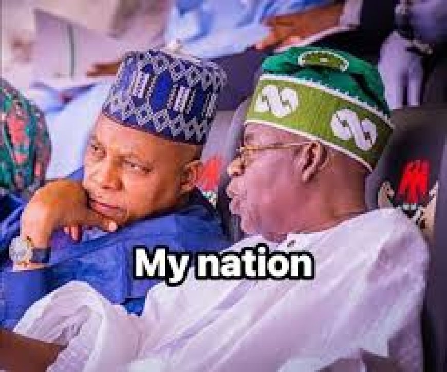 With Shettima, APC Dodged A Bullet
