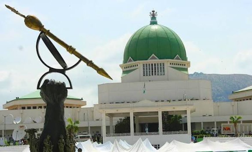 National Assembly Constituency Projects And The Rest Of Us: Enough Of This Scam 