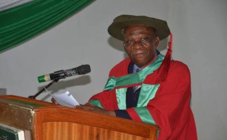 Renowned Journalist and Anthropologist, Prof Peter Jazzy Ezeh Conferred With Professor Emeritus, UNN