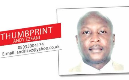Brigandage as Budgeting, By Andy Ezeani