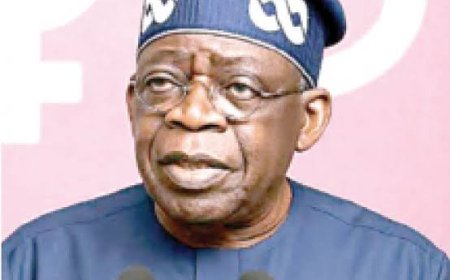 President Tinubu Omits His Primary, Secondary Schools' Qualifications In Documents Submitted To INEC For 2027 Polls