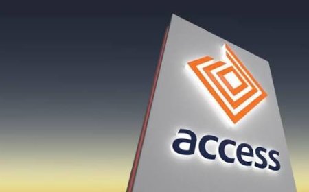 Access Holdings Deepens Sustainable Finance Impact, Expanding Green Assets to ₦92.14 Billion while Cutting