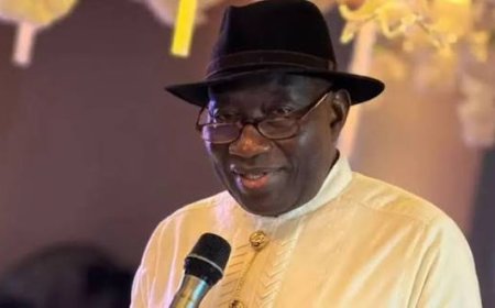 Jonathan Charges Political Parties, Judiciary to Protect Africa’s Democracy