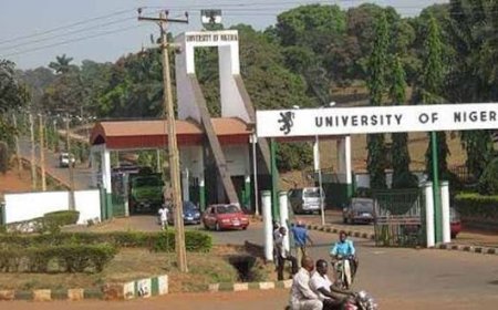 One Year After the Broken Walls Began to Rise, What Has Changed at the  University of Nigeria?