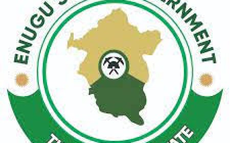SSDO trains over 75 Enugu youths on green jobs