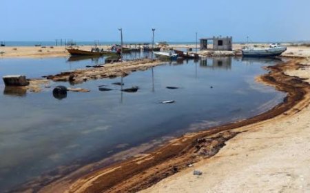 Iran Blames US Presence For Gulf Waters Pollution After Oil Spills