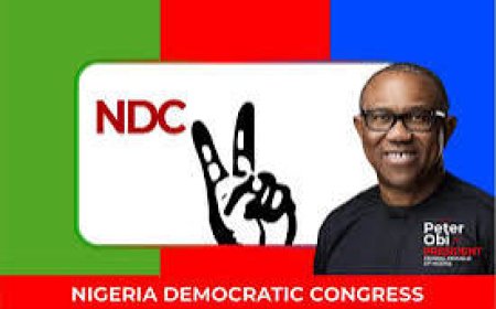 Nigerians, As Campaigns Kick-off: Here Comes Peter Obi, We Urge You To Listen To Him ------ Obi Media Office