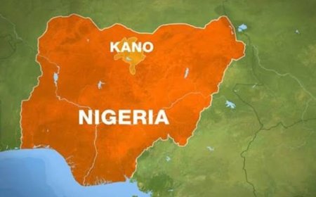Kano Closes 37 Private Health Facilities Over Regulatory Violations