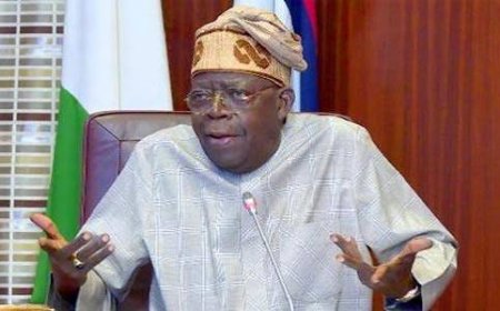 Lawyer Faults Chief Judge Of Federal High Over Transfer Of Suit Challenging Tinubu's Academic Qualifications