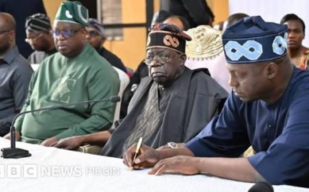 Mangu, Musa, Tinubu, Terror In Plateau State And The Performance Democracy Question