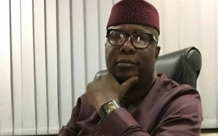 2027: What Purposeful Government Does Fór Its Citizens, By Babafemi Ojudu