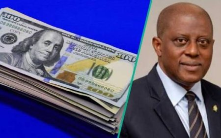 Nigeria’s external reserves hit $53.11bn, near 2009 record