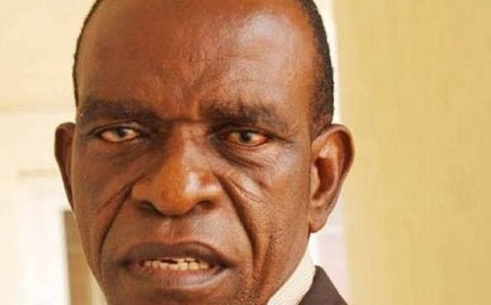 Integrity: An Orphan In A Captured State