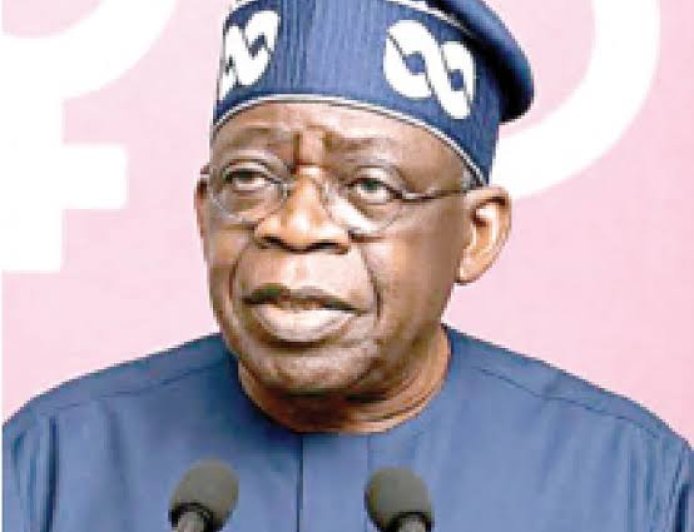 President Tinubu Omits His Primary, Secondary Schools' Qualifications In Documents Submitted To INEC For 2027 Polls