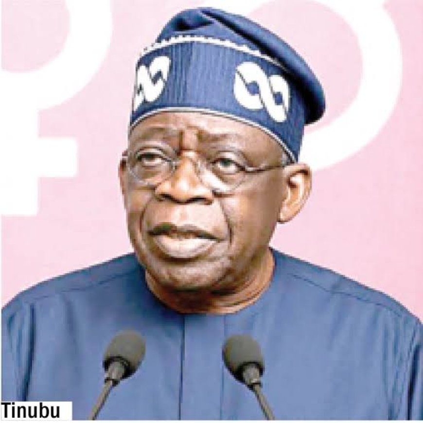 President Tinubu Omits His Primary, Secondary Schools' Qualifications In Documents Submitted To INEC For 2027 Polls