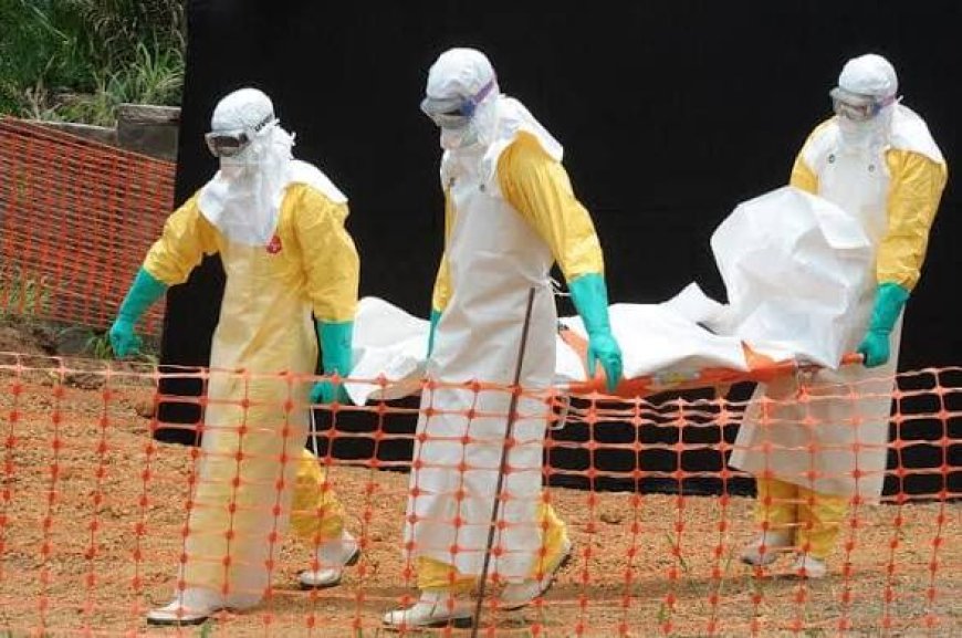 Congo Ebola Cases Rise To 4,449, Death Toll Hits 2,061