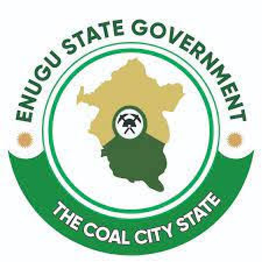 SSDO trains over 75 Enugu youths on green jobs