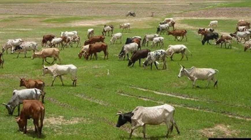 National Ranching Policy: Whose Land, Whose Ranches, Whose Future?