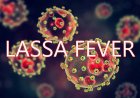 Lassa Fever Kills 252 In Four States — NCDC