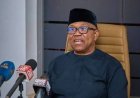 Obi will meet and answer the people—NOT the surrogates