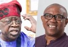 We Cannot Have Different Strokes For Different Folks!!! (Bola Tinubu & Peter Obi)