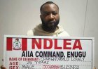 NDLEA Arrests Newlywed With 72 Wraps Of Cocaine At Enugu Airport
