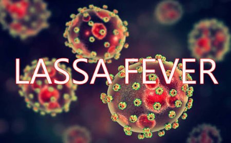 Lassa Fever Kills 252 In Four States — NCDC