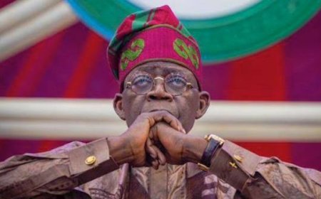 How We Were Offered $3 million To Drop Tinubu’s Alleged Heroin-trafficking Record ------ US Firm 