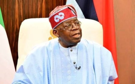 Probe ₦78.8bn Cash Transfer Scandal, SERAP Tells Tinubu
