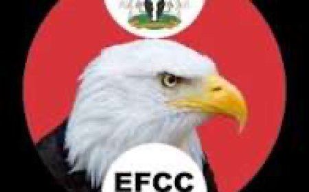 EFCC Arraigns One for Alleged  N600,000 Fraud in Maiduguri