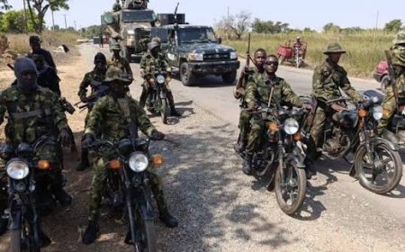 Terrorists Kill 11 In Adamawa