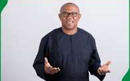 How hired thugs prevented Peter Obi's entry into Benue State.