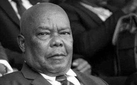 President Tinubu Mourns Tanzanian President's Husband, Hafidh Ameir Hassan