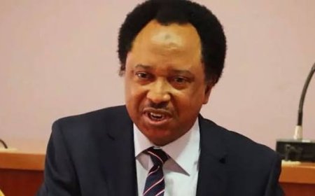 Shehu Sani Angry As North Whip Up Ethnic Sentiments Against Tinubu, Says President Can’t Be Blamed For Insecurity