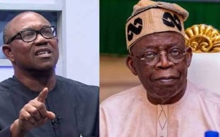 The Only Tinubu's Policy That Fancy--- Peter Obi