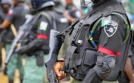 Four Police Officers, Seven Civilians Killed In Benue Community Attack