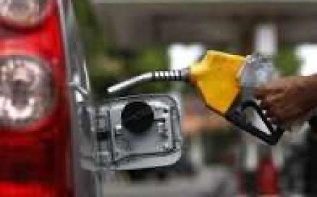Bringing Back Subsidies Will Cost Nigeria N20trn Annually — CPPE