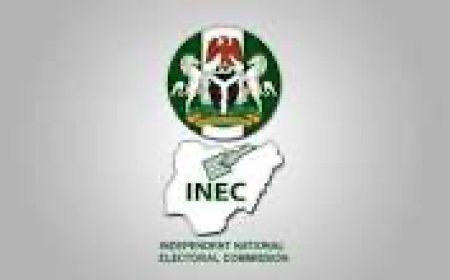 Why The INEC Must Not Use Vice Chancellors And Senior Lecturers As Returning And Collation Officers In The 2027 Election