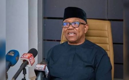 Obi will meet and answer the people—NOT the surrogates