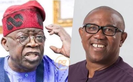 We Cannot Have Different Strokes For Different Folks!!! (Bola Tinubu & Peter Obi)