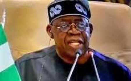 Alleged $6b Mambilla Power Contract: Tinubu Hails EFCC for FG’s Victory at Arbitration Tribunal