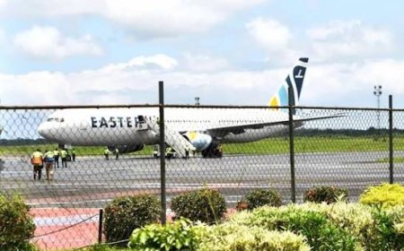 US Deports 25,000 To Third Countries Under Secretive Deals